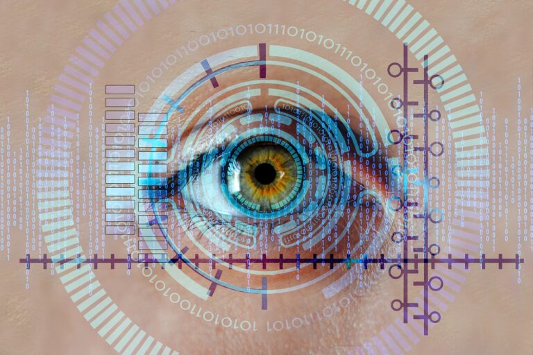 eye, iris, biometrics-5814965.jpg